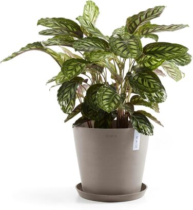 Квітчар Ecopots Taupe: великий горщик для квітів, 40x40x34.8 см