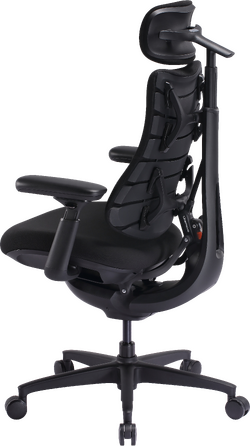 Крісло офісне ергономічне LiberNovo Omni SE Obsidian 48 см