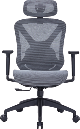 Крісло офісне Officepro Atlas OC630-B-DG-DG