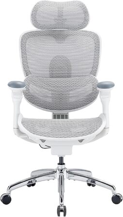 Офісний стілець SIHOO Doro C300 V2 Pro ергономічний, білий - з регульованою спинкою, підголівником та підлокітниками для дому та офісу