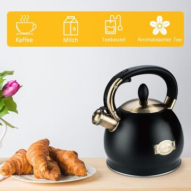 Чайник для води зі свистком 2.8л для індукційних та всіх типів плит, нержавіюча сталь, чорний