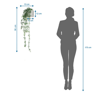 Штучна рослина / підвісна рослина EUCALYPTUS CLIMB 90 см зелений hjh ОФІС