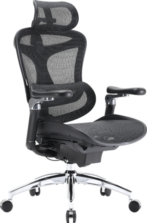Крісло офісне Sihoo DORO C300 Pro Mesh Black