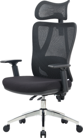 Крісло офісне OfficePro Aero OC490B Black