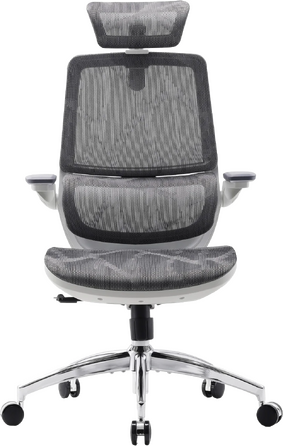 Крісло офісне Sihoo M59AS Mesh Gray