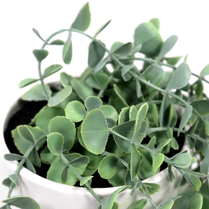 Штучна рослина / підвісна рослина EUCALYPTUS CLIMB 90 см зелений hjh ОФІС