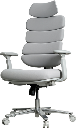 Крісло комп’ютерне офісне ергономічне OfficePro FlexCore OC120G