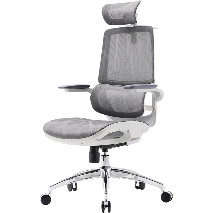 Крісло офісне Sihoo M59AS Mesh Gray