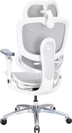 Крісло офісне Sihoo C300 LITE V2 White