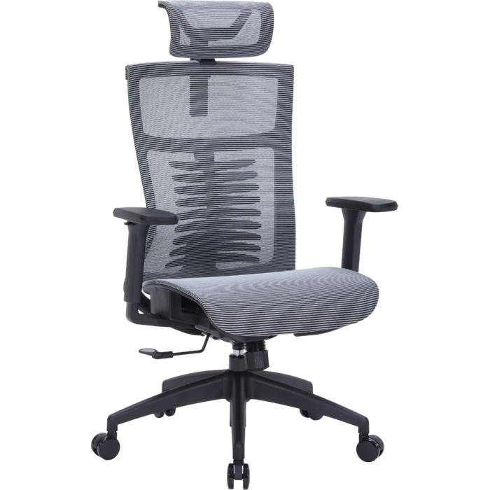 Крісло офісне OfficePro Balance OC620-B-DG-DG