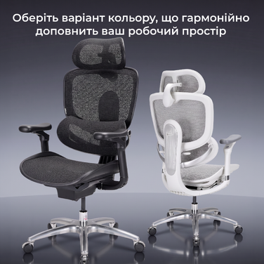Крісло офісне Sihoo C300 LITE V2 Black