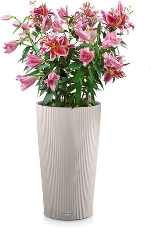 Горщик для квітів LECHUZA CILINDRO Sandbraun 32 (23x23x41 см)