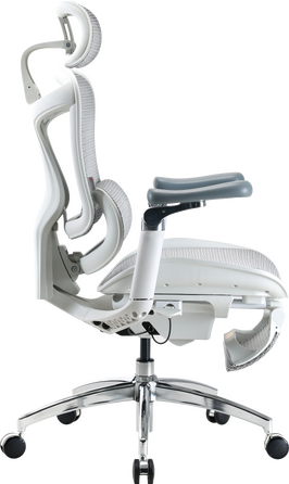 Крісло офісне з підставкою для ніг Sihoo DORO C300 Pro Mesh White with footrest
