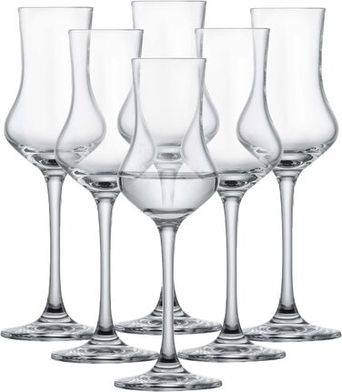 Пивний кухоль SCHOTT ZWIESEL Convention 0,2 л (набір з 6 штук), простий пивний келих Pilsner, келихи з тританового кришталю, які можна мити в посудомийній машині, виробництво Німеччина (артикул 175500) (пивний келих - 0,32 л, набір Classico Digestif (nab)