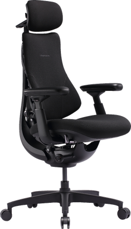 Крісло офісне ергономічне LiberNovo Omni SE Obsidian 48 см