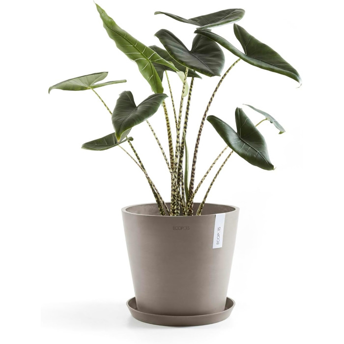 Квітчар Ecopots Taupe: великий горщик для квітів, 40x40x34.8 см