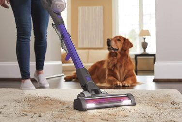 Акумуляторний пилосос BLACK+DECKER 4в1 для дому та тварин, 36В, 2.0А·год, без мішка, з електрощіткою для шерсті, 2в1 щілинна насадка, настінне кріплення, сріблясто-фіолетовий