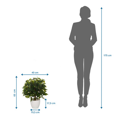 Штучна рослина / штучне дерево FICUS II 65 см зелений hjh ОФІС