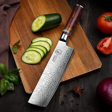 Японський ніж Gyuto FANTECK з дамаської сталі 20 см (67 шарів VG-10) - професійний кухонний ніж з дерев'яною ручкою Pakkawood, подарункова коробка