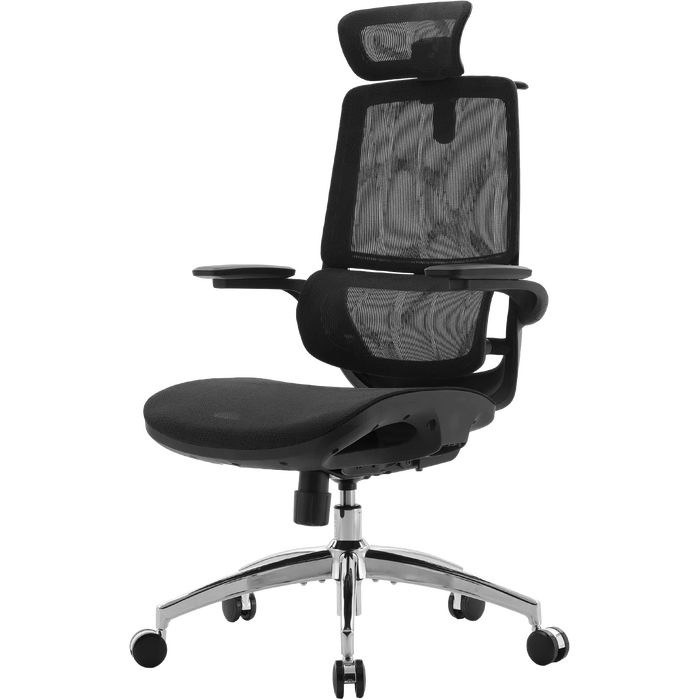 Крісло офісне Sihoo M59AS Mesh Black