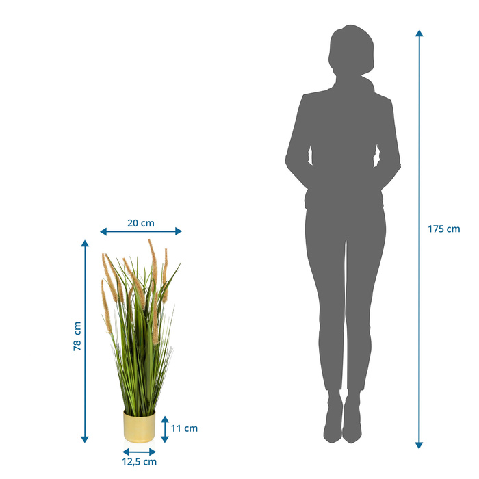 Штучна рослина CORTADERIA I Дика трава / Pampas Grass 78 см бежевий/зелений hjh ОФІС