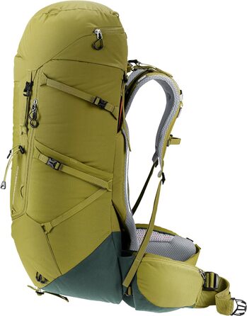 Рюкзак для трекінгу Deuter Aircontact Core 50+10 л (2024), кактус-іві