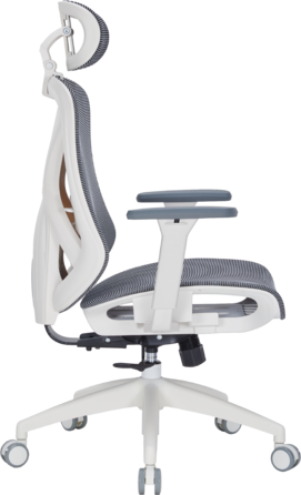 Крісло офісне Officepro Atlas OC630-W-DG-DG