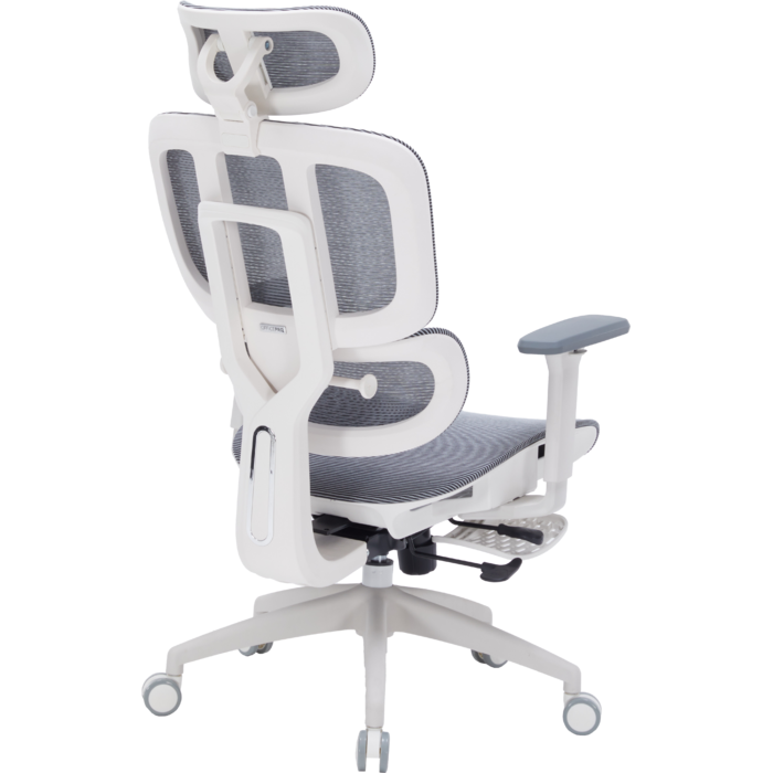 Крісло офісне OfficePro Skyline OC750-W-DG-DG