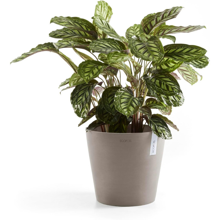 Квітчар Ecopots Taupe: великий горщик для квітів, 40x40x34.8 см