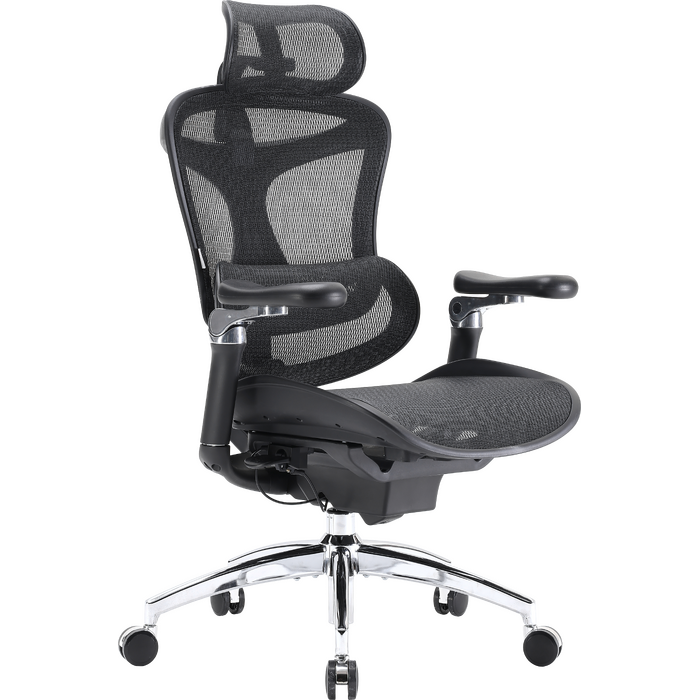 Крісло офісне Sihoo DORO C300 Pro Mesh Black