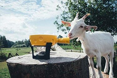 Набір для фондю Boska Super Cheesy, керамічний та чавунний, жовтий/сріблястий/чорний, 290x200x160 мм