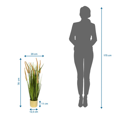 Штучна рослина CORTADERIA I Дика трава / Pampas Grass 78 см бежевий/зелений hjh ОФІС