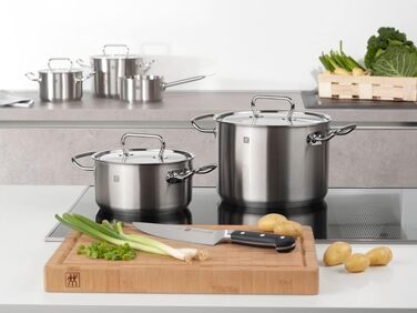 Каструля Zwilling Twin Classic з кришкою, нержавіюча сталь, 20 см, 3.0 л, для індукційних плит, срібляста