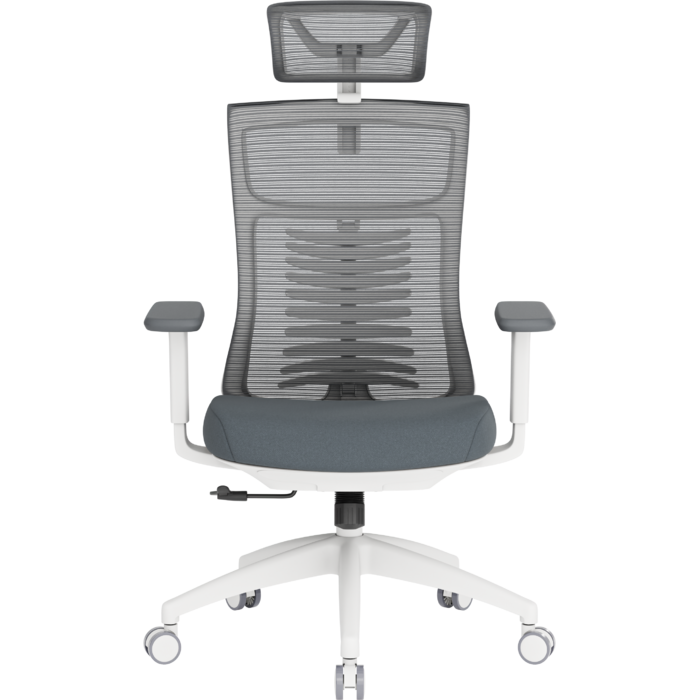 Крісло офісне OfficePro Balance OC550-W-DG-DG