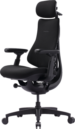 Крісло офісне ергономічне LiberNovo Omni SE Obsidian 48 см