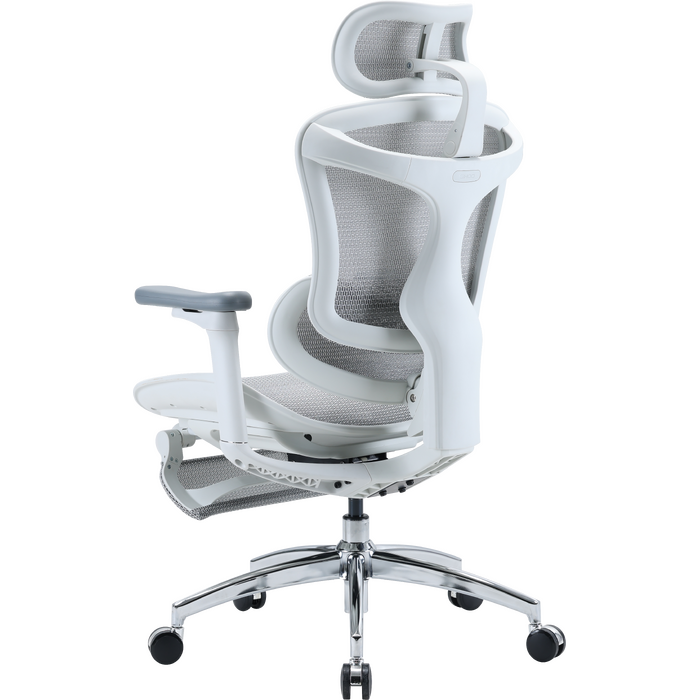Крісло офісне з підставкою для ніг Sihoo DORO C300L Mesh White with footrest