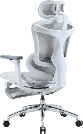 Крісло офісне з підставкою для ніг Sihoo DORO C300L Mesh White with footrest