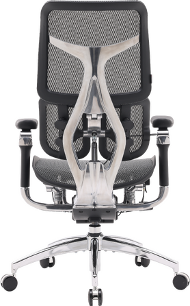 Крісло офісне Sihoo DORO S300 Mesh Dark Grey