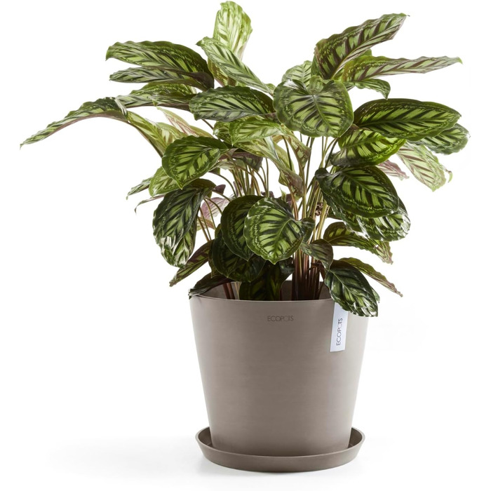 Квітчар Ecopots Taupe: великий горщик для квітів, 40x40x34.8 см