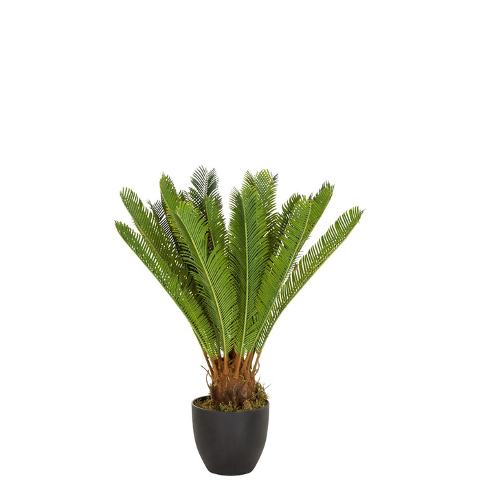 Штучна рослина / штучна пальма CYCAS пластикова зелена hjh ОФІС