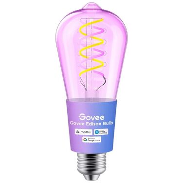 Розумна LED-лампа Govee Smart Edison ST64 E27, RGBWW, 500лм, димнування, керування зі смартфона