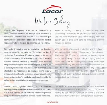 Електричний яйцеварка Lacor SIX OVUM з нержавіючої сталі 18/10, BPA Free, 6 яєць, 3 режими варіння, автоматичне вимкнення, сіра