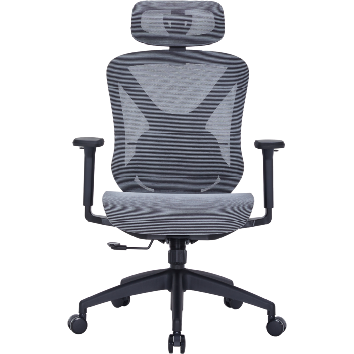 Крісло офісне Officepro Atlas OC630-B-DG-DG