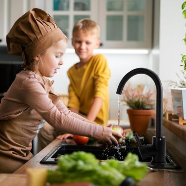 Змішувач для кухні 360° поворотний з нержавіючої сталі Edelstah C-подібний чорний