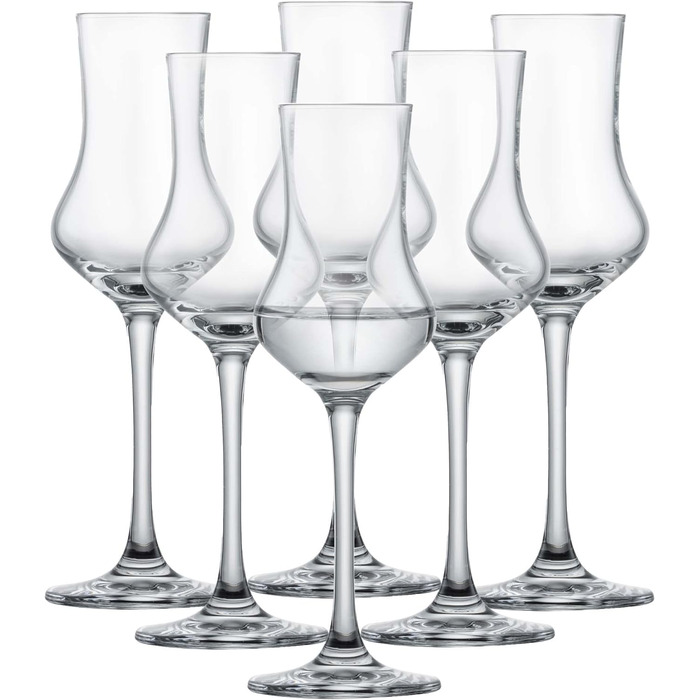 Пивний кухоль SCHOTT ZWIESEL Convention 0,2 л (набір з 6 штук), простий пивний келих Pilsner, келихи з тританового кришталю, які можна мити в посудомийній машині, виробництво Німеччина (артикул 175500) (пивний келих - 0,32 л, набір Classico Digestif (nab)