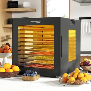 Сушарка для овочів, фруктів та м'яса COSTWAY 850W з 10 лотками з нержавіючої сталі, 10 програмами та таймером 48 год.