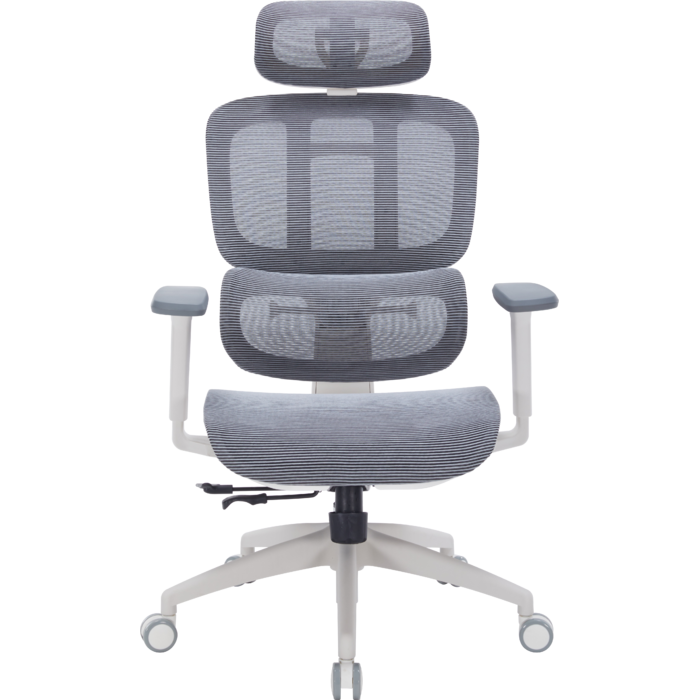 Крісло офісне OfficePro Skyline OC680-W-DG-DG