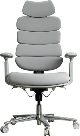 Крісло комп’ютерне офісне ергономічне OfficePro FlexCore OC120G