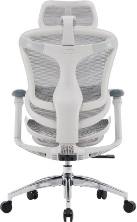 Крісло офісне Sihoo DORO C300L Mesh White