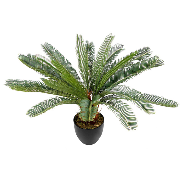 Штучна рослина / штучна пальма CYCAS пластикова зелена hjh ОФІС